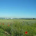 Am Rande Eines Naturschutzgebietes By Interhome